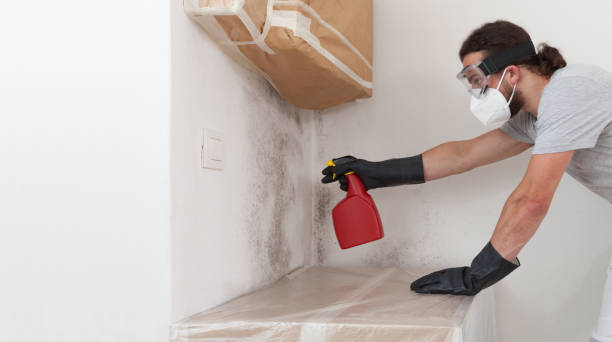 Professional Attic Mold Remediation technician working in Garfield, TX