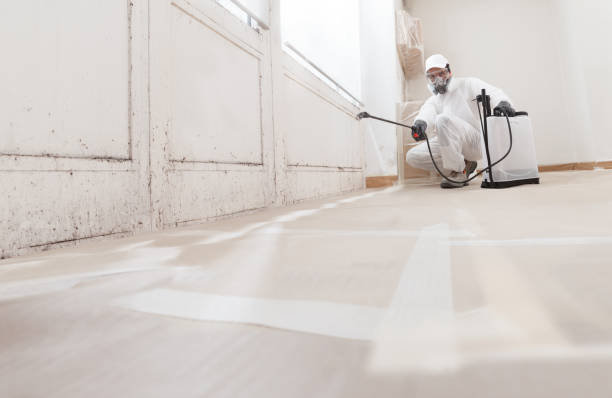 24/7 Emergency Attic Mold Remediation experts in Garfield, TX