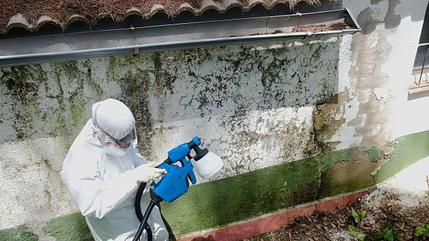 Top rated local Attic Mold Remediation specialists in Garfield, TX